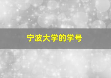 宁波大学的学号