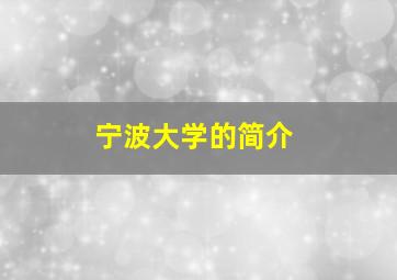 宁波大学的简介