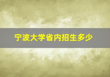 宁波大学省内招生多少