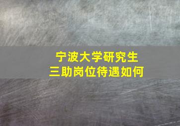 宁波大学研究生三助岗位待遇如何