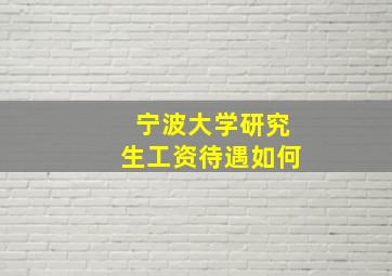 宁波大学研究生工资待遇如何