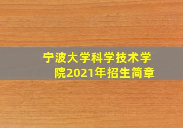 宁波大学科学技术学院2021年招生简章