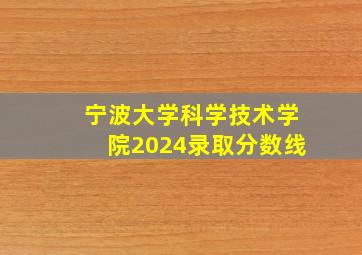 宁波大学科学技术学院2024录取分数线