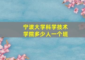 宁波大学科学技术学院多少人一个班