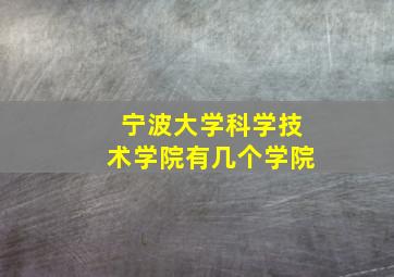 宁波大学科学技术学院有几个学院