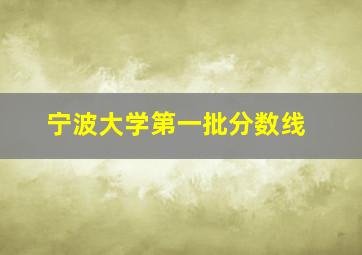 宁波大学第一批分数线