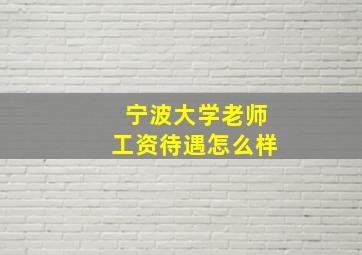 宁波大学老师工资待遇怎么样