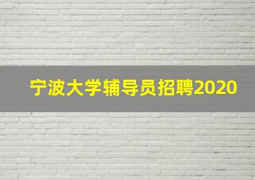 宁波大学辅导员招聘2020