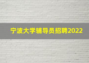 宁波大学辅导员招聘2022