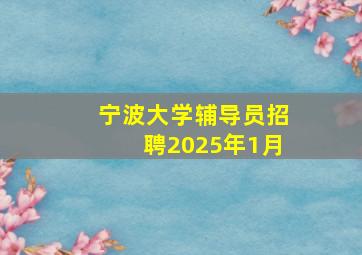 宁波大学辅导员招聘2025年1月