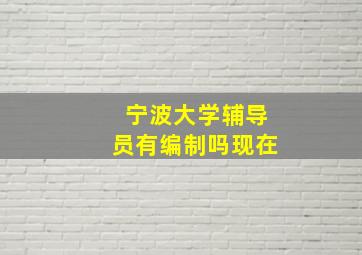 宁波大学辅导员有编制吗现在