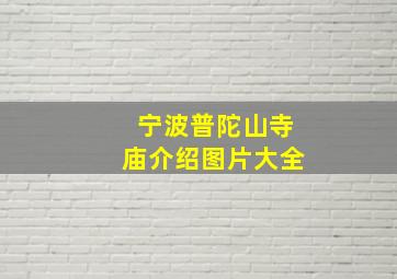 宁波普陀山寺庙介绍图片大全