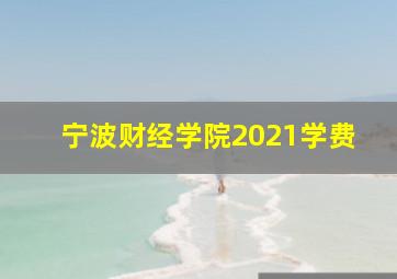 宁波财经学院2021学费