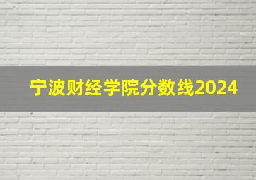 宁波财经学院分数线2024