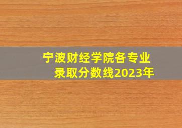 宁波财经学院各专业录取分数线2023年