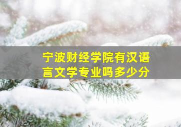 宁波财经学院有汉语言文学专业吗多少分