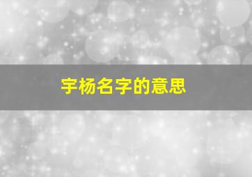 宇杨名字的意思