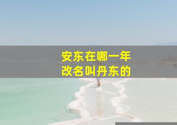 安东在哪一年改名叫丹东的