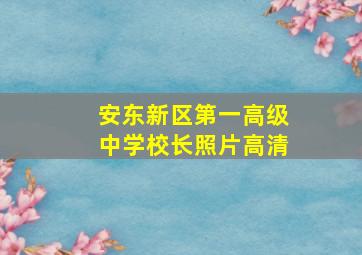 安东新区第一高级中学校长照片高清