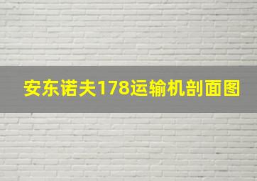 安东诺夫178运输机剖面图