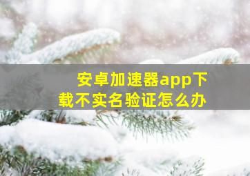 安卓加速器app下载不实名验证怎么办