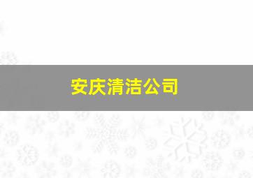 安庆清洁公司