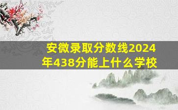 安微录取分数线2024年438分能上什么学校