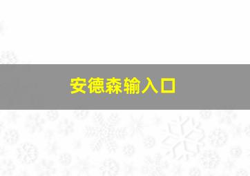 安德森输入口