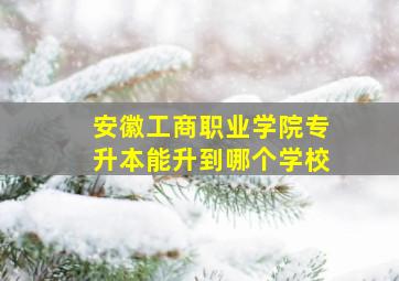 安徽工商职业学院专升本能升到哪个学校