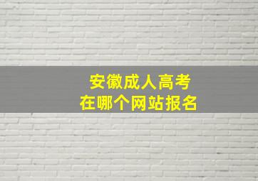 安徽成人高考在哪个网站报名