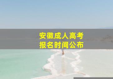 安徽成人高考报名时间公布