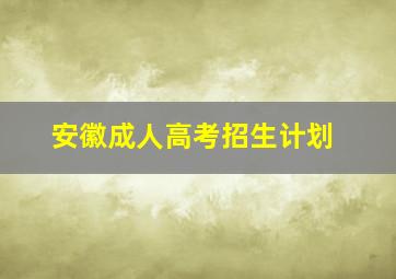 安徽成人高考招生计划