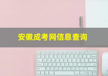 安徽成考网信息查询