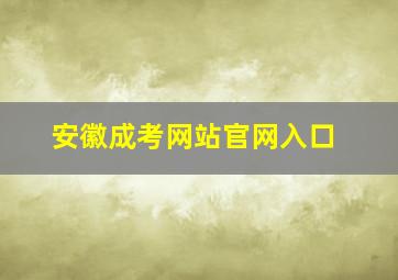 安徽成考网站官网入口