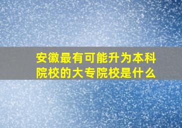 安徽最有可能升为本科院校的大专院校是什么