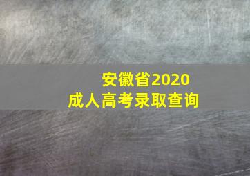 安徽省2020成人高考录取查询