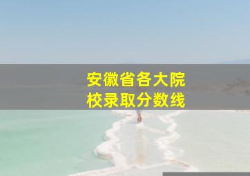 安徽省各大院校录取分数线