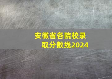 安徽省各院校录取分数线2024