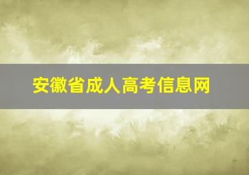 安徽省成人高考信息网