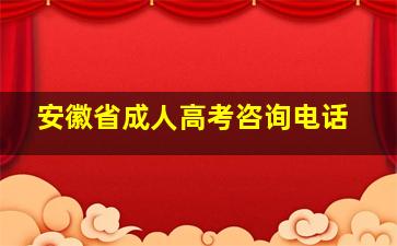 安徽省成人高考咨询电话