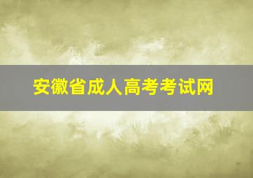 安徽省成人高考考试网