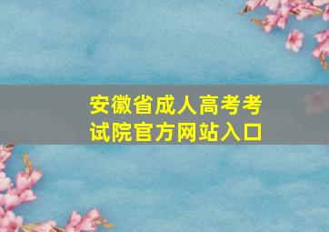 安徽省成人高考考试院官方网站入口