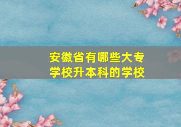 安徽省有哪些大专学校升本科的学校