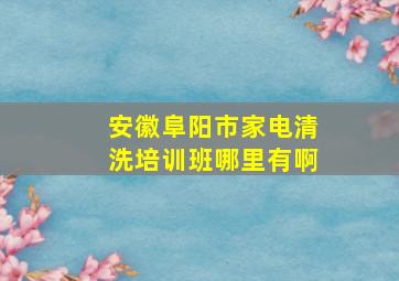 安徽阜阳市家电清洗培训班哪里有啊