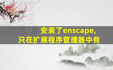 安装了enscape,只在扩展程序管理器中有