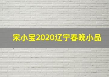 宋小宝2020辽宁春晚小品