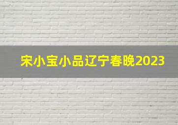 宋小宝小品辽宁春晚2023