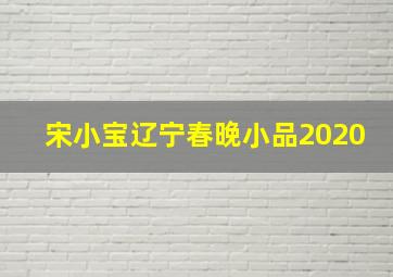 宋小宝辽宁春晚小品2020