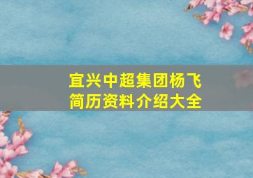 宜兴中超集团杨飞简历资料介绍大全