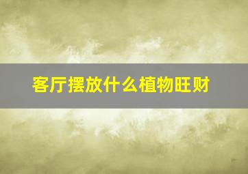 客厅摆放什么植物旺财